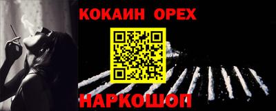 шишки Можга