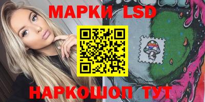 шишки Можга