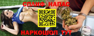 шишки Можга
