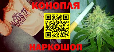 шишки Можга