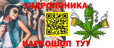 шишки Можга