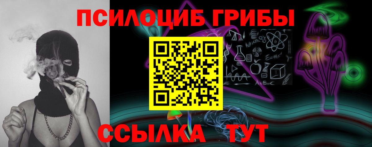 Псилоцибиновые грибы прущие грибы Владимир