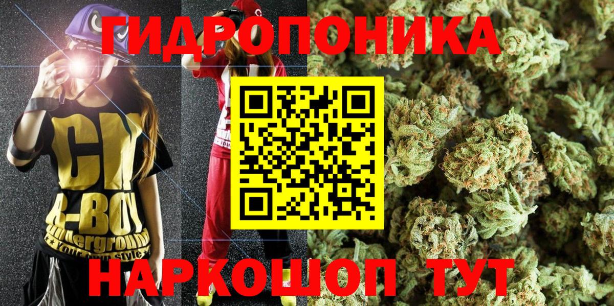 Бошки марихуана гибрид Владимир